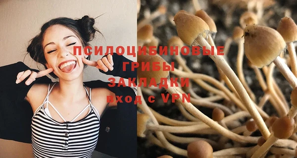 крисы Осинники