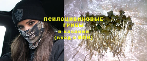 крисы Осинники