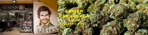 дмт Осташков